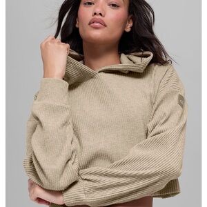 ALO Yoga Brown Ribbed Turtleneck Sweater